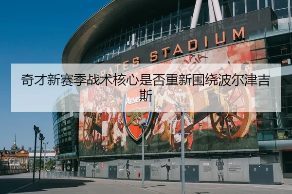 奇才新赛季战术核心是否重新围绕波尔津吉斯